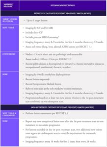 Assessing Prostate Cancer on Imaging in Clinical Trials | Calyx